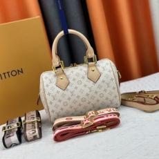 LV Speedy Bags